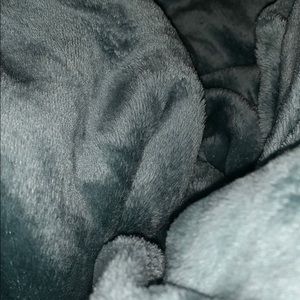 Meet your Posher, Ivy